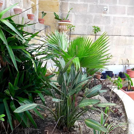 Alojamento de Acomodação e Pequeno-almoço Townhouse Boutique